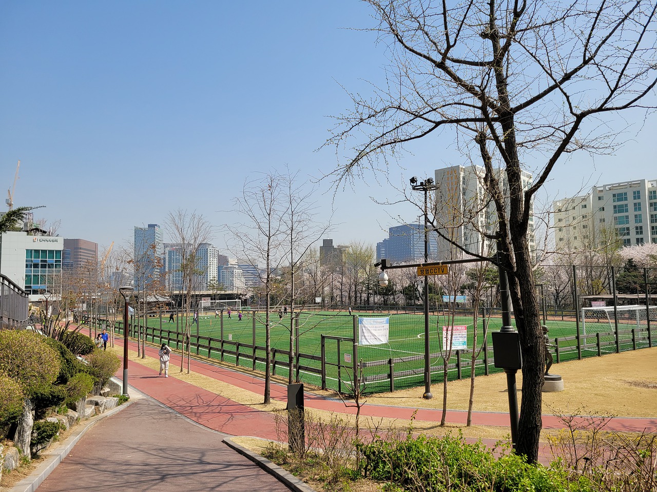 未來的卡塔 未來的卡塔