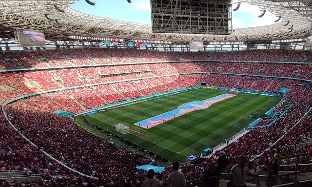 林高远的 林高远的