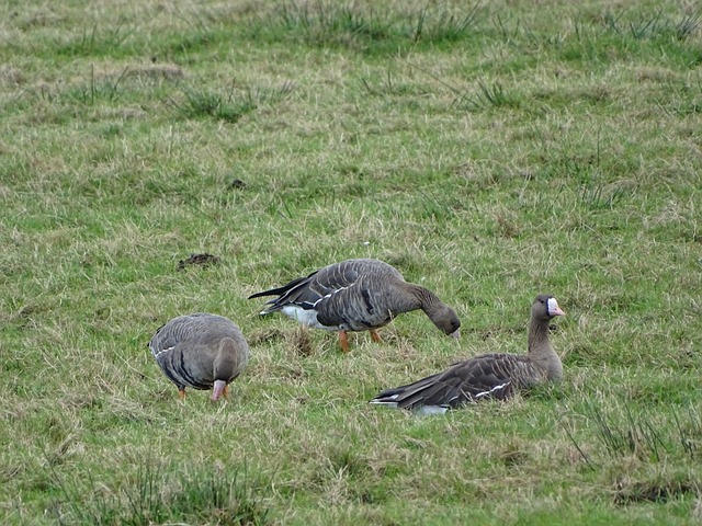 引领新闻行 引领新闻行