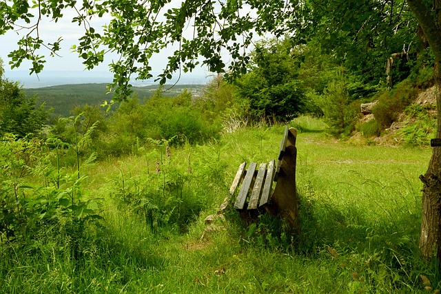 度和对未来 度和对未来